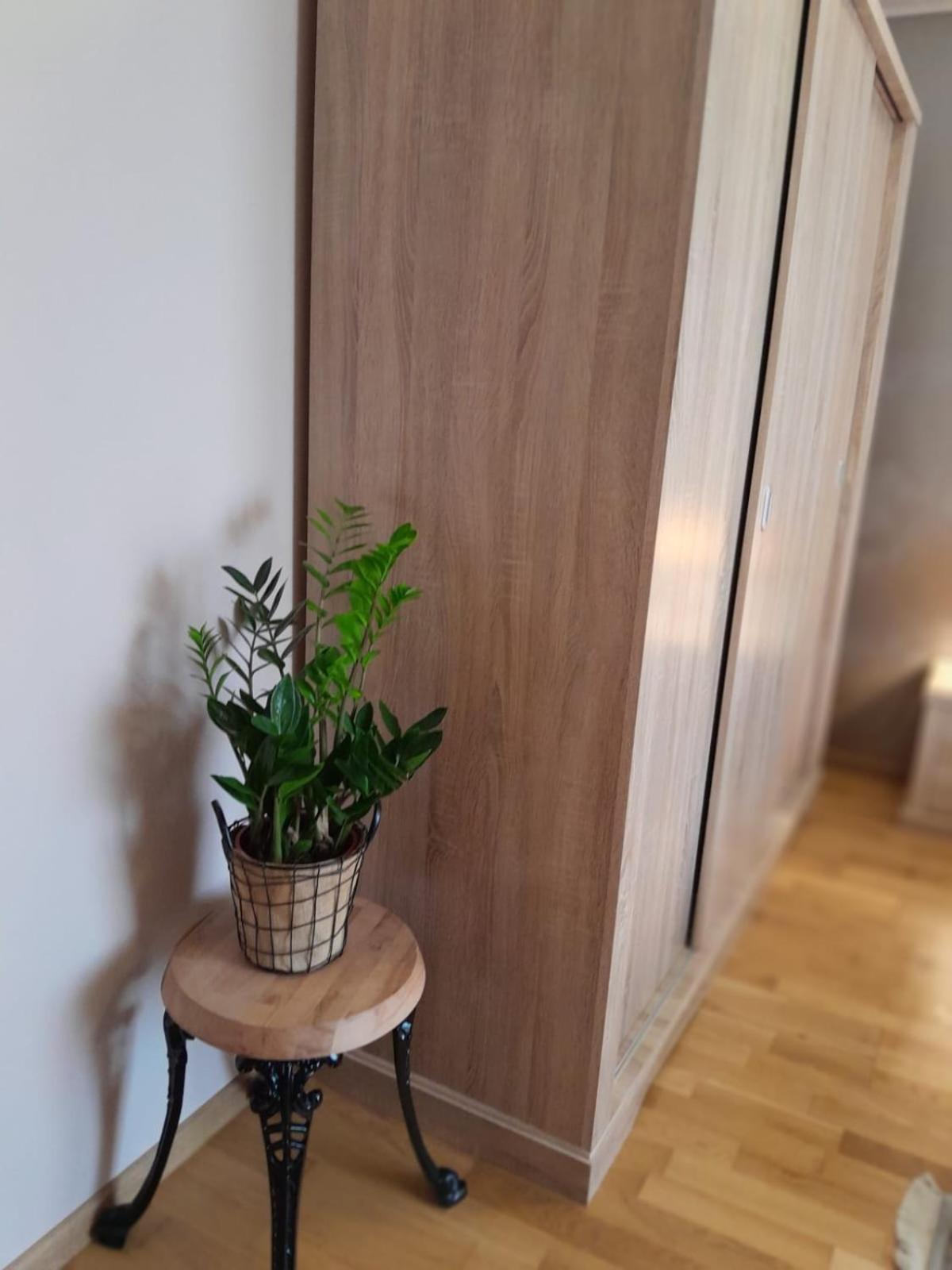 Ap Hector Appartement Năvodari Buitenkant foto